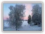 Päivän kuva 17.12.201525 cm lunta ja pakkasta rapiat 20 astetta. Ei, ei ole Halikossa näin paljon lunta.. Kuvan Kemijärven rannalta lähetti Tuula Laasonen.