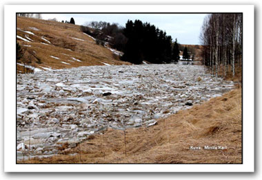 Päivän kuva 17.4.2013