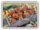 05-IMG_20211016_160557