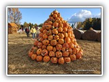 43-IMG20241012162517