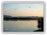 hl-070805_014