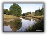 Halikonjoki.