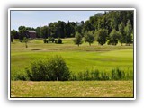 Wiurilan gollfkenttää 4.7.2010, keskellä Wiurilan golfkenttää ja vasemmalla pilkistää Halikonlahti.
(Näet kuvan isompana, katso sivua alempaa)