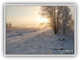 Wiurilan ranta.