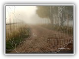 ym-070923_020