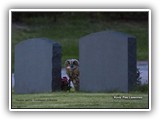 ym-DSC_3646-Edit