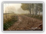 <!-- 07-09-23 -->