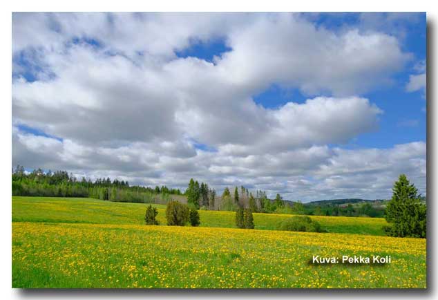 paivankuva_260524_634